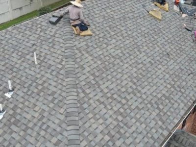 Professional Roof Installation